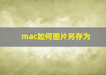 mac如何图片另存为