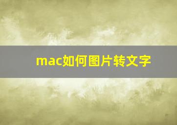 mac如何图片转文字