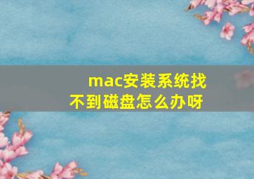 mac安装系统找不到磁盘怎么办呀