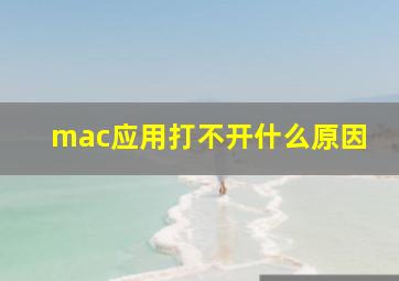 mac应用打不开什么原因