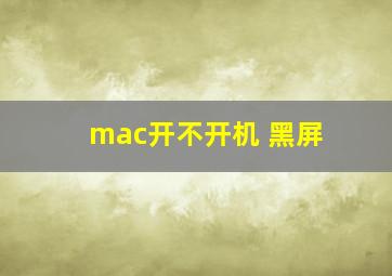 mac开不开机 黑屏