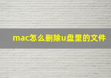 mac怎么删除u盘里的文件