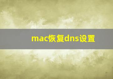 mac恢复dns设置