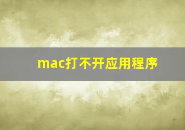 mac打不开应用程序