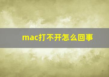 mac打不开怎么回事