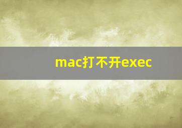 mac打不开exec