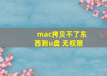 mac拷贝不了东西到u盘 无权限