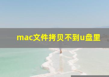 mac文件拷贝不到u盘里