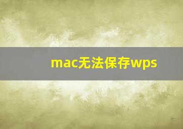 mac无法保存wps