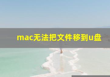 mac无法把文件移到u盘