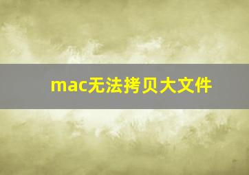 mac无法拷贝大文件