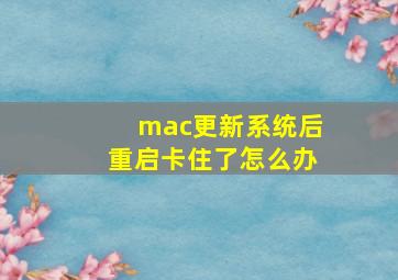 mac更新系统后重启卡住了怎么办