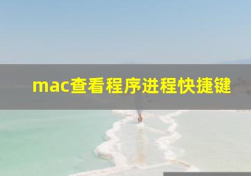 mac查看程序进程快捷键