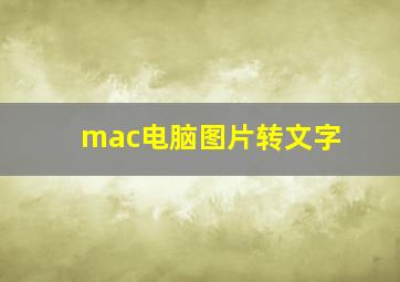 mac电脑图片转文字