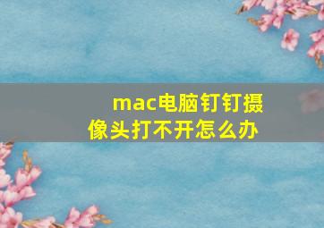 mac电脑钉钉摄像头打不开怎么办