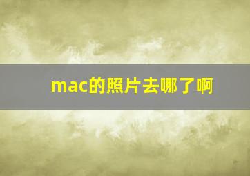 mac的照片去哪了啊