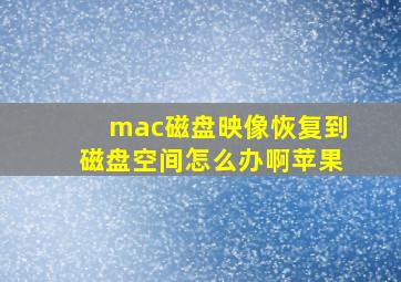 mac磁盘映像恢复到磁盘空间怎么办啊苹果