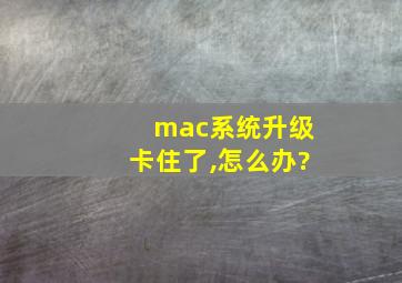 mac系统升级卡住了,怎么办?