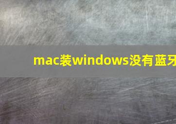 mac装windows没有蓝牙