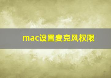 mac设置麦克风权限