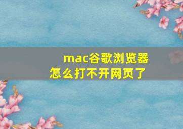 mac谷歌浏览器怎么打不开网页了