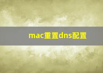 mac重置dns配置