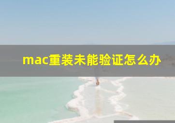 mac重装未能验证怎么办