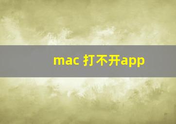 mac 打不开app