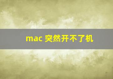 mac 突然开不了机