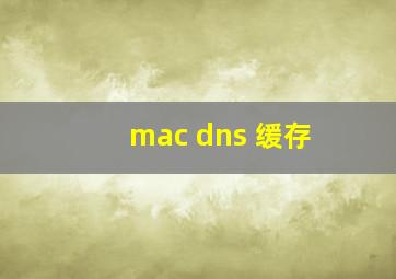 mac dns 缓存