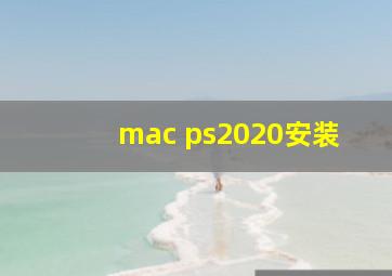 mac ps2020安装