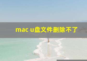 mac u盘文件删除不了