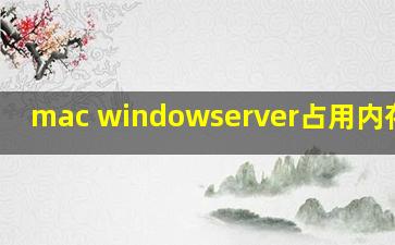 mac windowserver占用内存过高