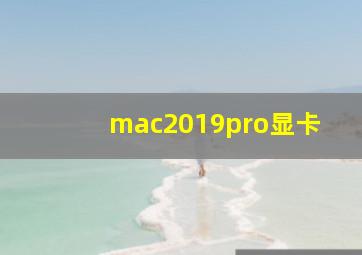 mac2019pro显卡