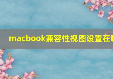 macbook兼容性视图设置在哪