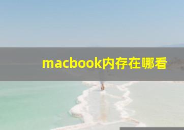 macbook内存在哪看