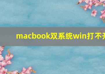 macbook双系统win打不开