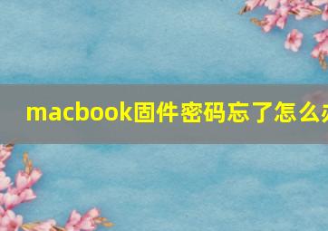 macbook固件密码忘了怎么办