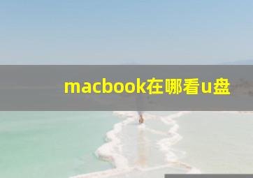 macbook在哪看u盘