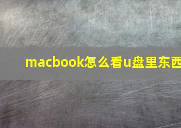 macbook怎么看u盘里东西