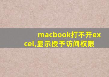 macbook打不开excel,显示授予访问权限