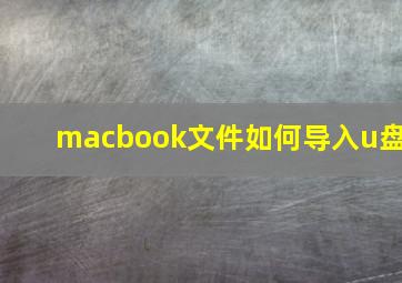 macbook文件如何导入u盘