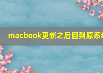 macbook更新之后回到原系统