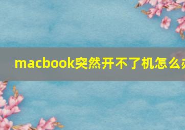 macbook突然开不了机怎么办