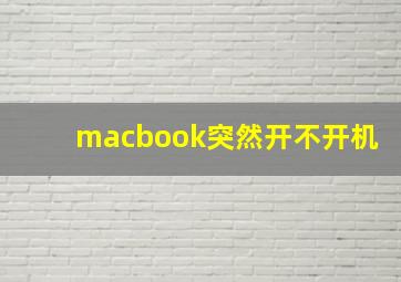 macbook突然开不开机