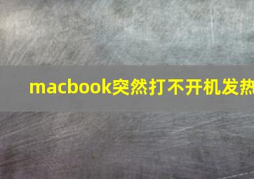 macbook突然打不开机发热