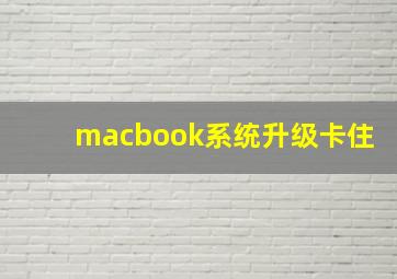 macbook系统升级卡住