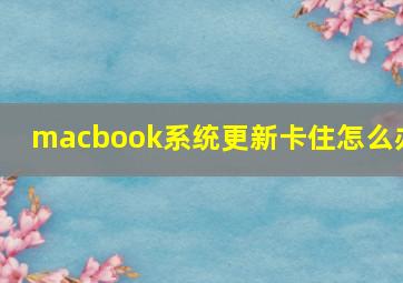 macbook系统更新卡住怎么办