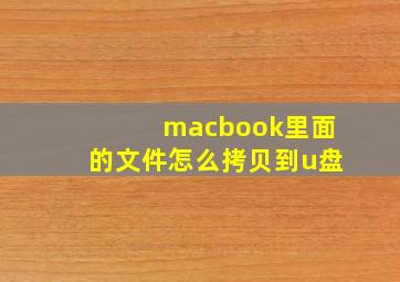 macbook里面的文件怎么拷贝到u盘