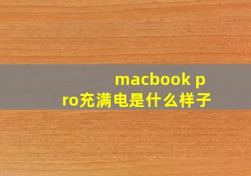 macbook pro充满电是什么样子